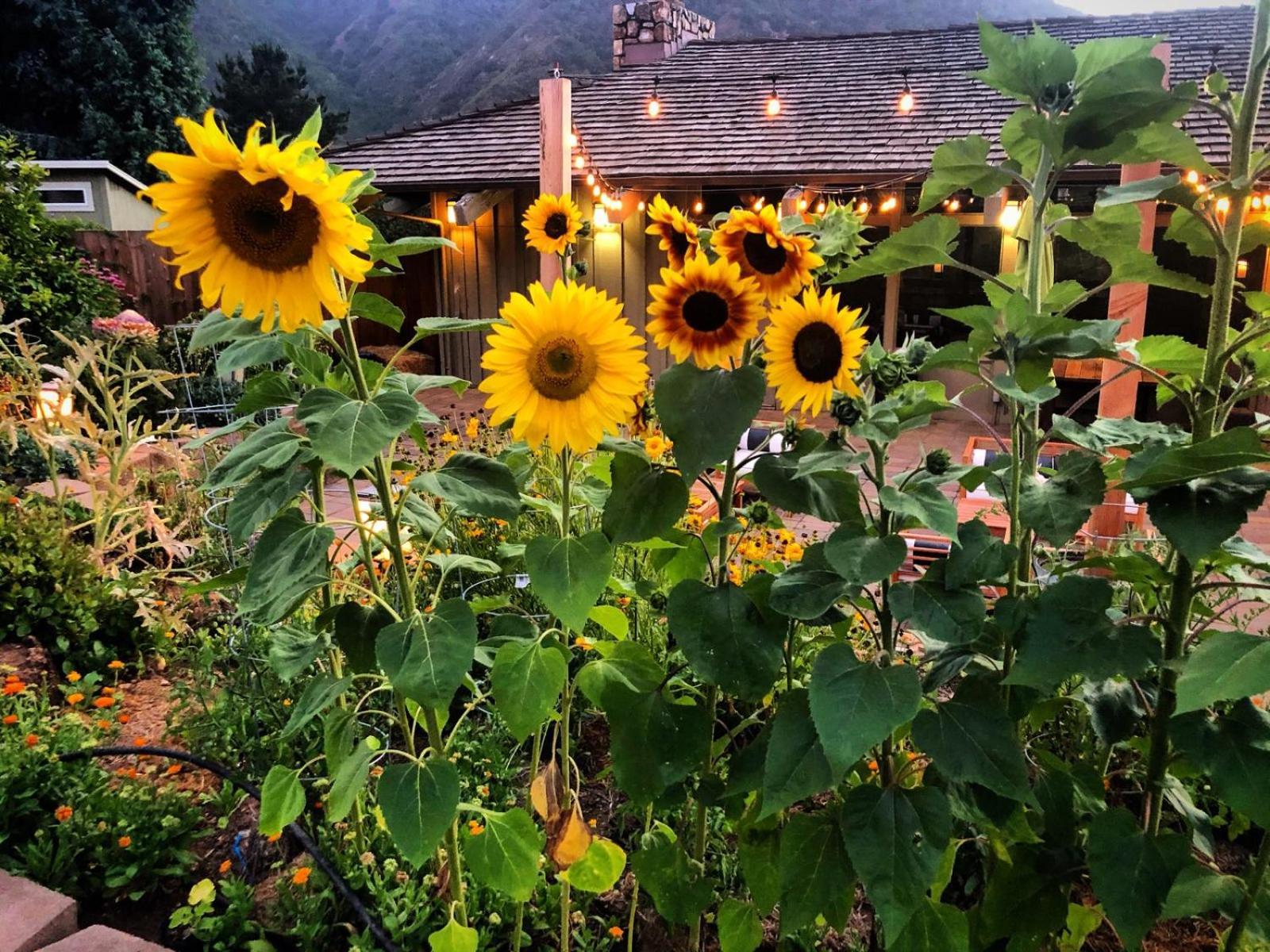 Carmel Valley Lodge Exterior photo